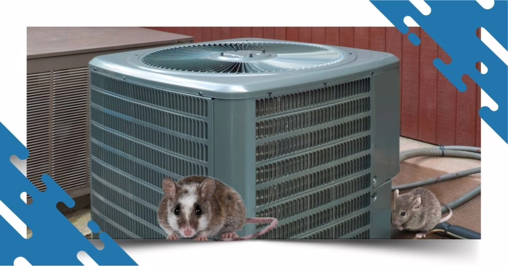 8 Tips on How To Keep Mice Out of Outdoor AC Unit