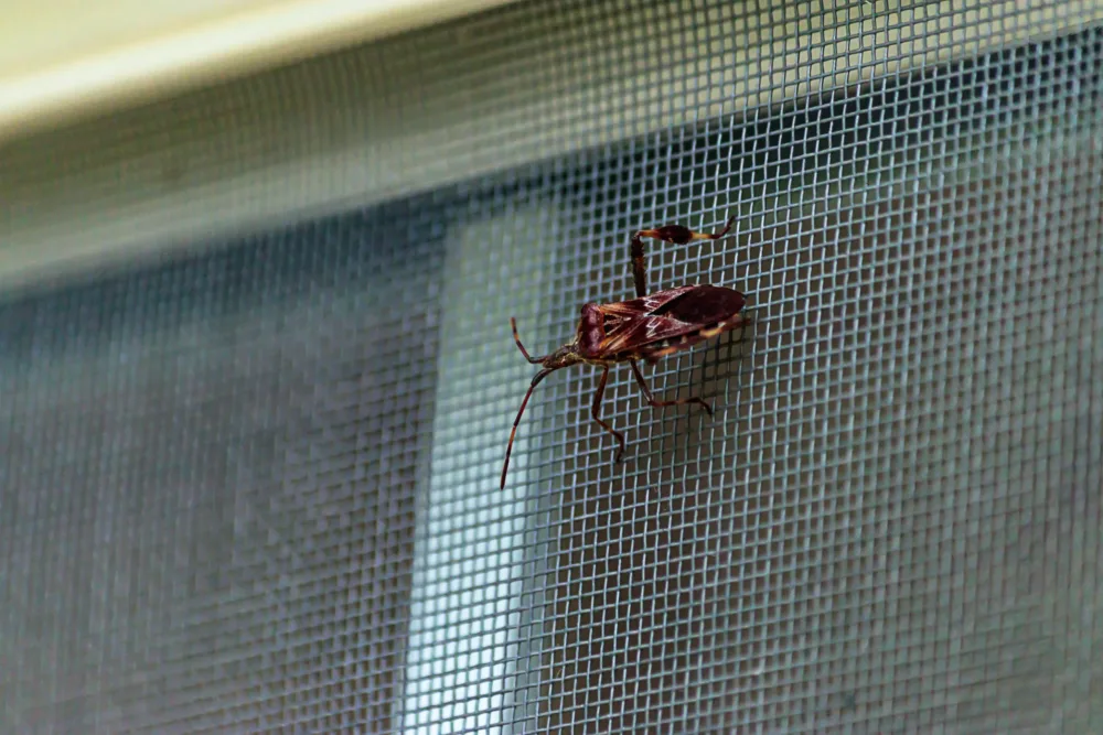 Bug Proof Air Conditioner