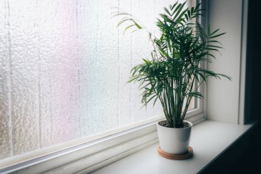 why does my ocala home feel humid