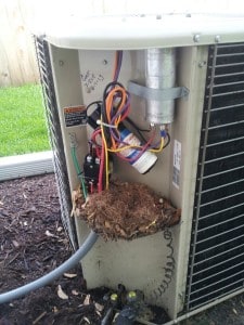 Keep Mice Outdoor AC Unit 